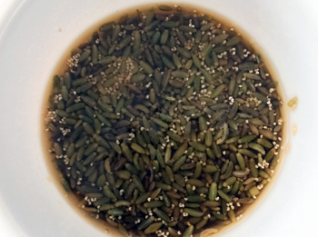 Soaked Poppy seeds Fennel seeds