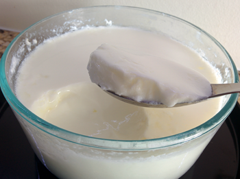 Yogurt Texture