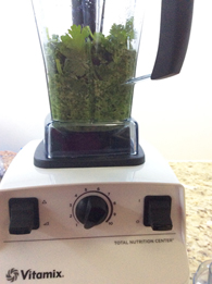 Green Chutney Grinding Vitamix