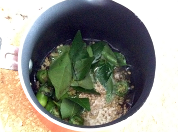 Curry Leaves Green Chillies