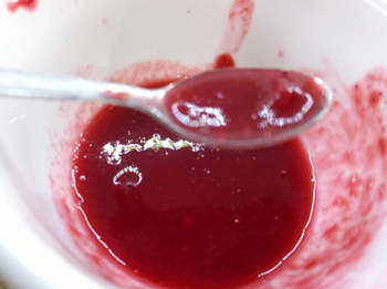 Raspberry Fruit Sauce