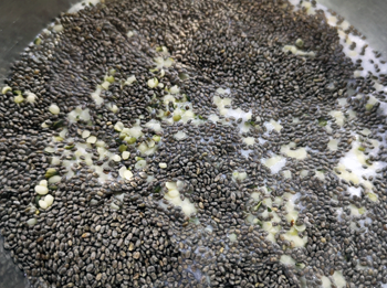 Soaked Chia Hemp Seeds